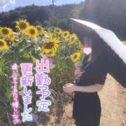 ヒメ日記 2025/07/31 20:01 投稿 むぎ ていくぷらいど.学園