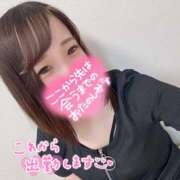 ヒメ日記 2025/09/02 14:28 投稿 むぎ ていくぷらいど.学園