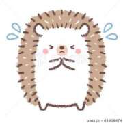 ヒメ日記 2025/09/09 19:26 投稿 むぎ ていくぷらいど.学園