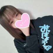 ヒメ日記 2025/10/08 14:15 投稿 むぎ ていくぷらいど.学園