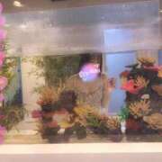 ヒメ日記 2025/10/14 19:38 投稿 むぎ ていくぷらいど.学園