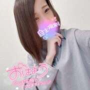 ヒメ日記 2025/10/17 13:23 投稿 むぎ ていくぷらいど.学園