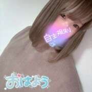 ヒメ日記 2025/11/07 16:02 投稿 むぎ ていくぷらいど.学園