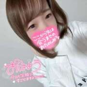 ヒメ日記 2025/11/15 13:53 投稿 むぎ ていくぷらいど.学園