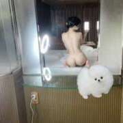 ヒメ日記 2025/04/13 14:46 投稿 王華/おうか クラブ バレンタイン大阪