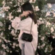 ヒメ日記 2025/06/06 19:11 投稿 ここあ Remote Spa Premium(リモートスパプレミアム)