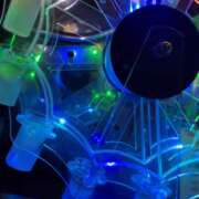 ヒメ日記 2024/12/07 12:22 投稿 みかん さくらん