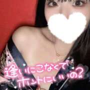 ヒメ日記 2024/12/17 12:01 投稿 みかん さくらん