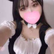 ヒメ日記 2025/02/08 12:22 投稿 みかん さくらん