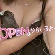 ヒメ日記 2025/04/13 12:27 投稿 みかん さくらん