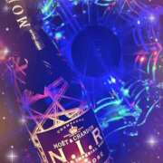 ヒメ日記 2025/06/02 12:19 投稿 みかん さくらん