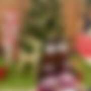 ヒメ日記 2025/12/08 13:04 投稿 みかん さくらん