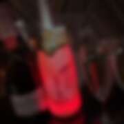 ヒメ日記 2025/12/30 14:15 投稿 みかん さくらん