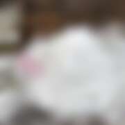 ヒメ日記 2026/02/09 16:49 投稿 みかん さくらん