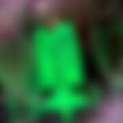 ヒメ日記 2026/04/14 15:13 投稿 みかん さくらん