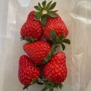 ヒメ日記 2026/01/25 09:05 投稿 しょう バイオレンス