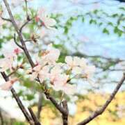 ヒメ日記 2025/04/01 18:22 投稿 ゆいか マリン千葉店