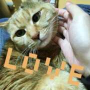 ヒメ日記 2025/06/26 18:10 投稿 えま奥様 デザイア日本橋