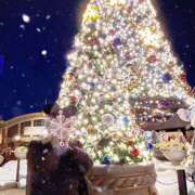 ヒメ日記 2024/12/12 17:27 投稿 夏月あみか ワイフコレクション