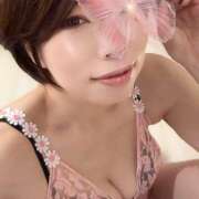 ヒメ日記 2025/04/02 15:38 投稿 夏月あみか ワイフコレクション