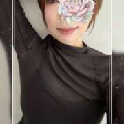 ヒメ日記 2025/10/15 09:56 投稿 夏月あみか ワイフコレクション