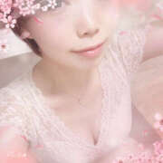 ヒメ日記 2026/03/25 10:13 投稿 夏月あみか ワイフコレクション