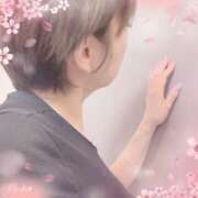 ヒメ日記 2026/03/29 17:57 投稿 夏月あみか ワイフコレクション