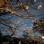 ヒメ日記 2025/03/29 15:54 投稿 夏月あみか 美魔女エステ