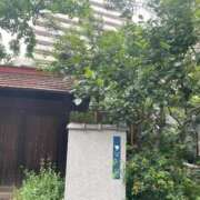 ヒメ日記 2025/06/12 20:55 投稿 はく Delyz（デリーズ）