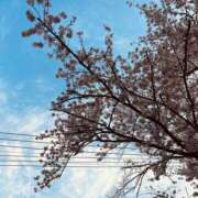 ヒメ日記 2025/04/11 09:00 投稿 まい 大和人妻城