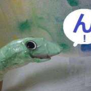 ヒメ日記 2025/04/25 08:35 投稿 花蓮 催眠SM性感クラブ