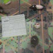 ヒメ日記 2025/05/22 10:36 投稿 花蓮 催眠SM性感クラブ