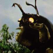 ヒメ日記 2025/05/30 14:54 投稿 花蓮 催眠SM性感クラブ