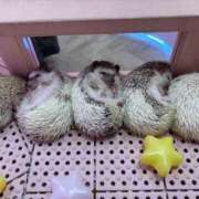 ヒメ日記 2025/03/20 01:20 投稿 ちか One More奥様 大宮店