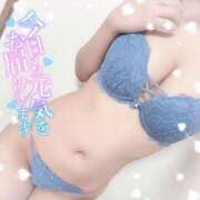 ヒメ日記 2026/02/13 10:12 投稿 ミサキ SCREEN(スクリーン)