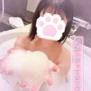 ヒメ日記 2026/02/17 09:42 投稿 ミサキ SCREEN(スクリーン)