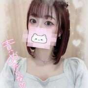 ヒメ日記 2026/02/21 16:57 投稿 ミサキ SCREEN(スクリーン)