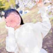 ヒメ日記 2025/04/02 22:35 投稿 かりん 奥様鉄道69 東京店