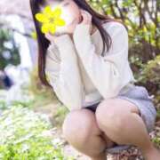 ヒメ日記 2025/04/06 13:40 投稿 かりん 奥様鉄道69 東京店