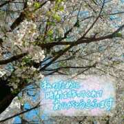 ヒメ日記 2025/05/11 14:55 投稿 かりん 奥様鉄道69 東京店