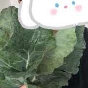 ヒメ日記 2025/11/24 09:00 投稿 ゆり 君とふわふわプリンセスin熊谷