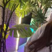 ヒメ日記 2026/02/28 22:32 投稿 ゆり 君とふわふわプリンセスin熊谷