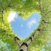 ヒメ日記 2025/08/04 09:35 投稿 三ツ矢しほ ウフフな40。ムフフな50。。（横浜ハレ系）