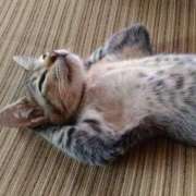 ヒメ日記 2025/08/13 09:44 投稿 三ツ矢しほ ウフフな40。ムフフな50。。（横浜ハレ系）