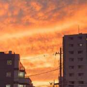 ヒメ日記 2025/09/11 09:57 投稿 三ツ矢しほ ウフフな40。ムフフな50。。（横浜ハレ系）