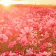 ヒメ日記 2025/09/14 18:06 投稿 三ツ矢しほ ウフフな40。ムフフな50。。（横浜ハレ系）