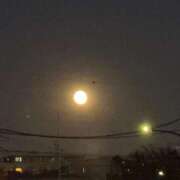 ヒメ日記 2025/12/08 09:51 投稿 三ツ矢しほ ウフフな40。ムフフな50。。（横浜ハレ系）