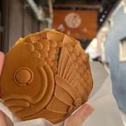 ヒメ日記 2025/08/18 20:29 投稿 うみ ドマーニ