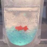 ヒメ日記 2026/03/06 10:03 投稿 うみ ドマーニ