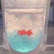 ヒメ日記 2026/04/14 09:15 投稿 うみ ドマーニ